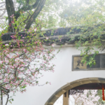 Suzhou_s_Lingering_Garden__A_Timeless_Journey_Through_Nature_s_Poetry