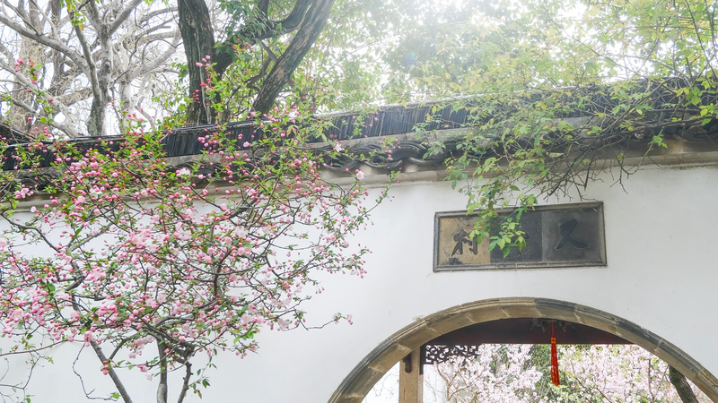 Suzhou_s_Lingering_Garden__A_Timeless_Journey_Through_Nature_s_Poetry
