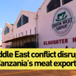 Tanzania_Pivots_Meat_Exports_Amid_Middle_East_Shipping_Crisis video poster