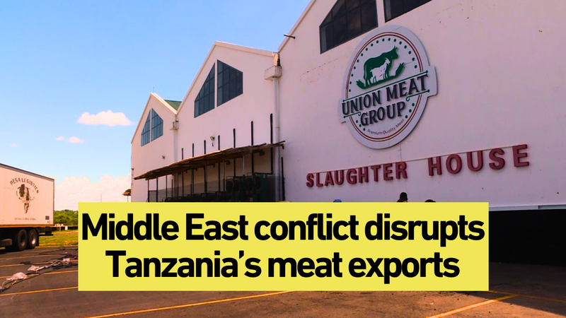 Tanzania_Pivots_Meat_Exports_Amid_Middle_East_Shipping_Crisis_poster - Khabar Asia Tanzania_Pivots_Meat_Exports_Amid_Middle_East_Shipping_Crisis video poster