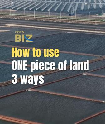 Tianjin_s_Triple_Threat_Land_Use__Solar__Shrimp__and_Salt_Innovation video poster