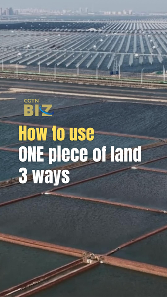 Tianjin_s_Triple_Threat_Land_Use__Solar__Shrimp__and_Salt_Innovation video poster