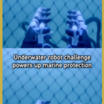Underwater_Robot_Challenge_Boosts_Marine_Conservation_in_Greater_Bay_Area video poster
