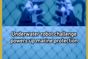 Underwater_Robot_Challenge_Boosts_Marine_Conservation_in_Greater_Bay_Area video poster