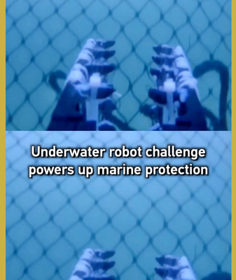 Underwater_Robot_Challenge_Boosts_Marine_Conservation_in_Greater_Bay_Area video poster