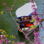 West_Lake_Blooms__Hangzhou_s_Spring_Tourism_Surges_in_2026_poster - Khabar Asia West_Lake_Blooms__Hangzhou_s_Spring_Tourism_Surges_in_2026 video poster
