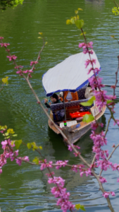 West_Lake_Blooms__Hangzhou_s_Spring_Tourism_Surges_in_2026 video poster