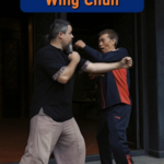 Wing_Chun__The_Timeless_Art_of_Precision_and_Cultural_Wisdom_poster - Khabar Asia Wing_Chun__The_Timeless_Art_of_Precision_and_Cultural_Wisdom video poster