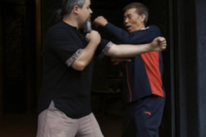 Wing_Chun__The_Timeless_Art_of_Precision_and_Cultural_Wisdom video poster