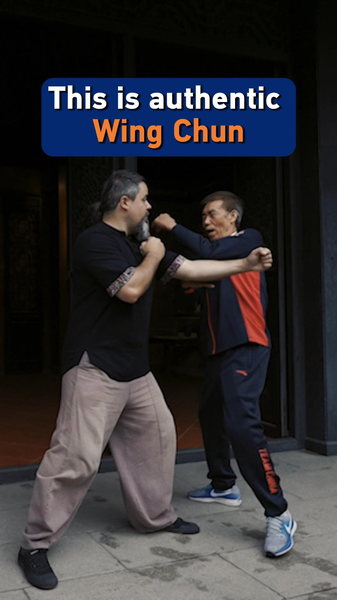 Wing_Chun__The_Timeless_Art_of_Precision_and_Cultural_Wisdom video poster
