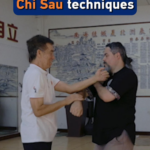 Wing_Chun_s_Chi_Sau__Mastering_the_Art_of_Sticky_Hands_in_2026 video poster