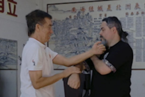 Wing_Chun_s_Chi_Sau__Mastering_the_Art_of_Sticky_Hands_in_2026 video poster