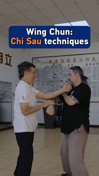 Wing_Chun_s_Chi_Sau__Mastering_the_Art_of_Sticky_Hands_in_2026 video poster