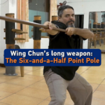 Wing_Chun_s_Six_and_a_Half_Point_Pole__Mastering_Precision_in_Martial_Arts video poster