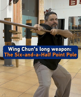 Wing_Chun_s_Six_and_a_Half_Point_Pole__Mastering_Precision_in_Martial_Arts video poster
