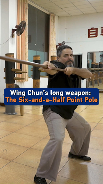 Wing_Chun_s_Six_and_a_Half_Point_Pole__Mastering_Precision_in_Martial_Arts video poster