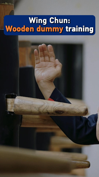 Wing_Chun_s_Wooden_Dummy__Bridging_Tradition_and_Modern_Mastery video poster