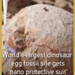 World_s_Largest_Dinosaur_Egg_Fossil_Site_Gets_Nano_Protective_Suit video poster