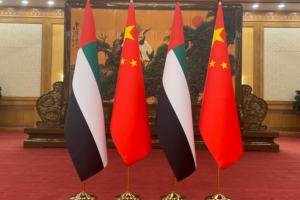 Xi_Jinping__UAE_Crown_Prince_Strengthen_Ties_in_Beijing_Meeting