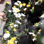 Xinjiang_Honors_Organ_Donors_in_Solemn_Qingming_Memorial_Ceremony video poster