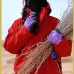 Youth_Led_Green_Revolution_Transforms_China_s_Minqin_Desert video poster