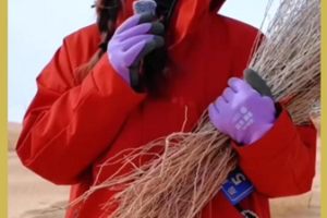 Youth_Led_Green_Revolution_Transforms_China_s_Minqin_Desert video poster