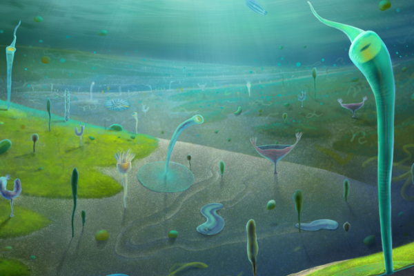 Yunnan_Fossils_Rewrite_Evolutionary_Timeline__Challenge_Darwin_s_Dilemma