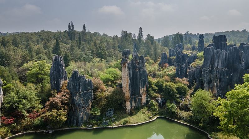 Yunnan_Shilin__China_s_Ancient_Stone_Forest_Beckons_Global_Explorers