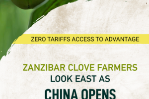 Zanzibar_Clove_Farmers_Eye_Chinese_Market_as_Zero_Tariff_Policy_Begins video poster