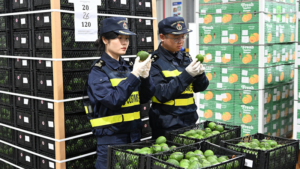China_Welcomes_First_African_Imports_Under_Expanded_Zero_Tariff_Policy