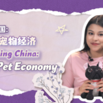 China_s_Pet_Economy_Booms_as_Youth_Seek_Emotional_Outlets video poster
