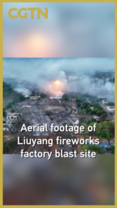 Emergency_Response_Underway_After_Fireworks_Plant_Explosion_in_Liuyang video poster