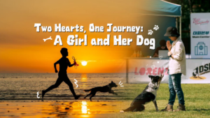 Healing_Paws__How_Dog_Training_is_Redefining_Careers_in_China video poster
