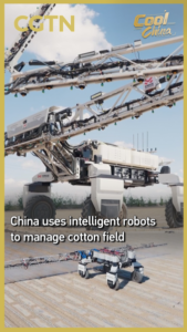 Smart_Robots_Revolutionize_Cotton_Farming_in_China_s_Xinjiang video poster